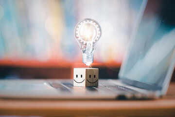 中药仙草的性质和药效