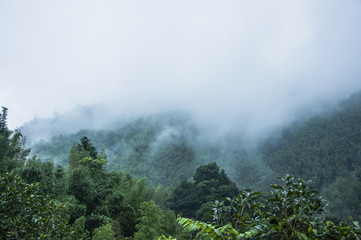 中医预防医学思想的核心内涵包括